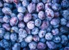 antiinflammatorisk kost havregryn