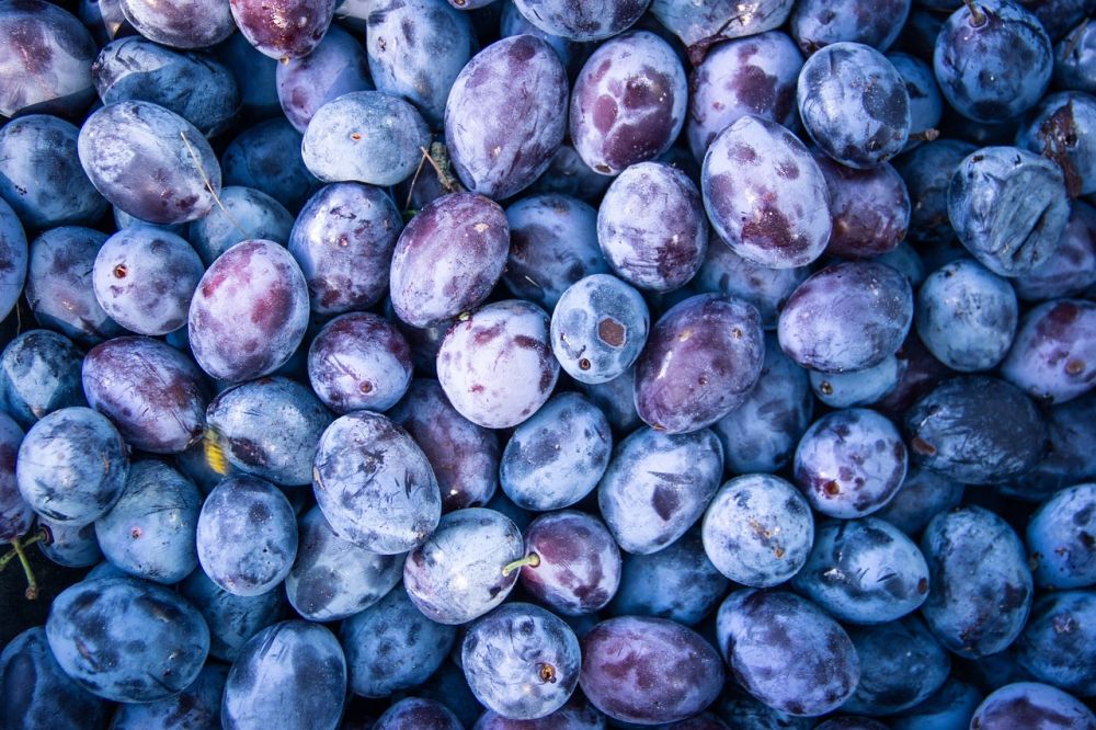 antiinflammatorisk kost havregryn